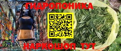 шишки Пенза