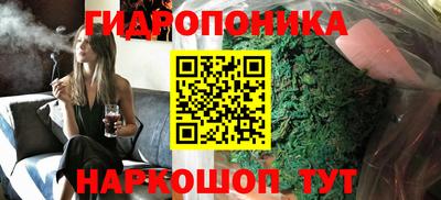 шишки Пенза