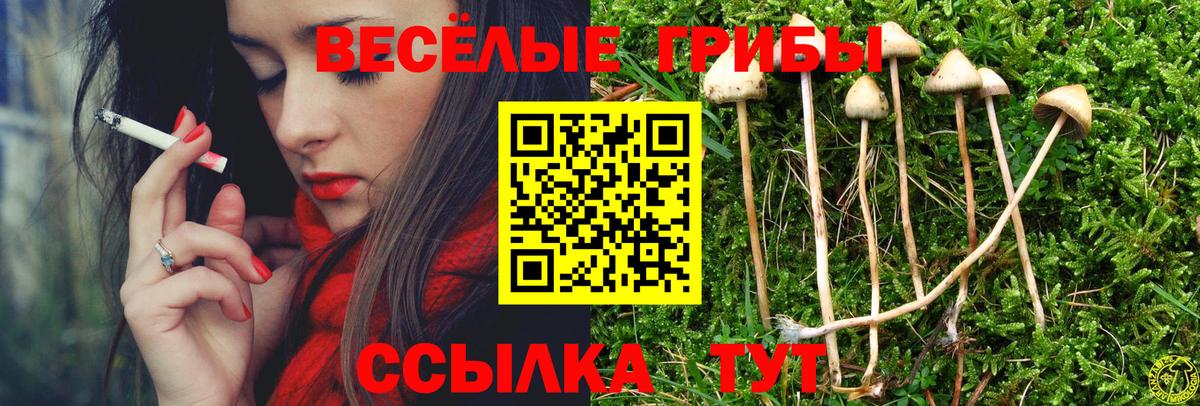 Торжок  Галлюциногенные грибы GOLDEN TEACHER  Вход с VPN 